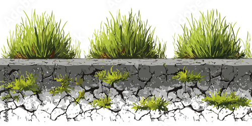Sezione trasversale del terreno con erba verde rigogliosa e radici che si estendono nel suolo arido e crepato
