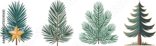 pine tree and branches with star decoration, perfect for Christmas, winter holiday, and nature-themed design.