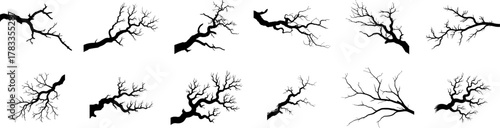 Collection of black  tree branches, Horror Style Dead Wood vector art.