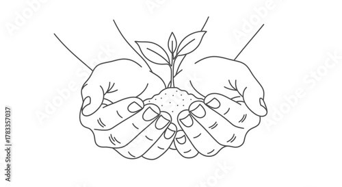 Two hands gently holding a small plant sprout growing from soil, symbolizing growth, care, and nature.