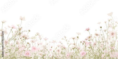 Un delicato prato di fiori primaverili rosa e bianchi con uno sfondo bianco luminoso