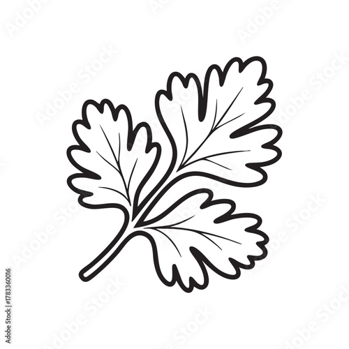 Parsley Leaf Simple Outline Vector Icon