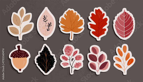 秋の自然をテーマにした、手描きの様々な落ち葉のベクターイラストセットで、温かみのある季節感を表現しています。