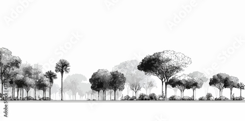 モノクロの木々が並ぶ風景ベクターイラストは、自然の美しさをシンプルに表現し、デザインに静けさと奥行きを加えます。