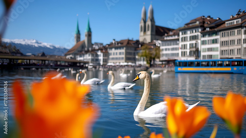 Fototapeta Naklejka Na Ścianę i Meble -  Tranquil cityscape featuring graceful swans gliding on a river, with historic buildings and snow-capped mountains in the backdrop, under a clear blue sky. Serene urban scene.