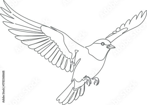 Elegant line drawing of a bird in mid flight
