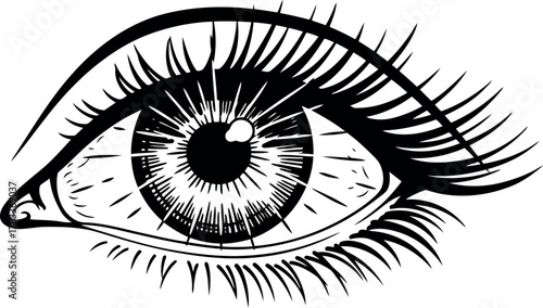 Detailed black and white sketch of a human eye