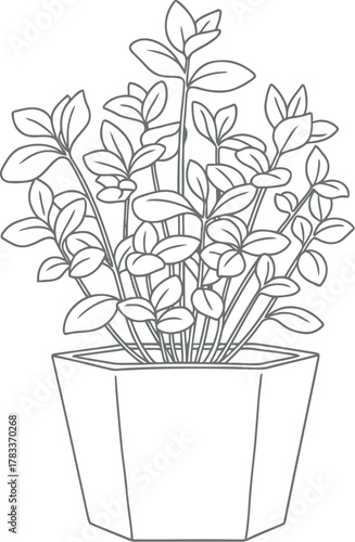 Hand drawn sketch of lush green plant in a simple pot