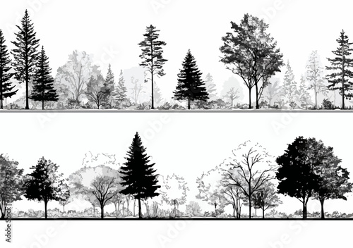 Kolekcja wektorowych sylwetek drzew i lasów, przedstawiająca różnorodne gatunki i formy w czarno-białej grafice.