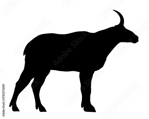 Black mountain goat silhouette stands upright with curved horns and realistic fur shading. Its focused gaze looks into the distance against a stark white background. Side view