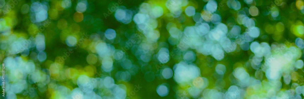 Fototapeta premium 緑の森 バナー