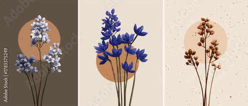 Minimalistyczny wektorowy zestaw trzech botanicznych grafik ściennych w stylu boho z kwiatami.