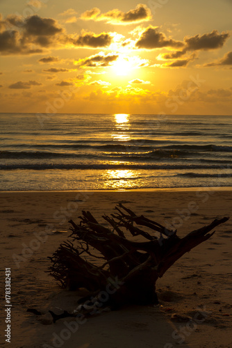 Sunrise on sea and silhouette of log