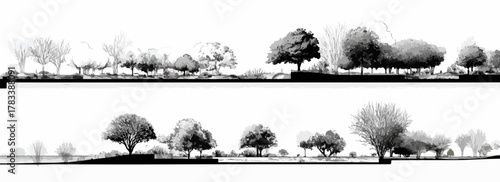다양한 나무와 식물들이 펼쳐진 풍경을 흑백 벡터 이미지로 표현한 디자인