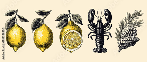 신선한 레몬과 랍스터, 식물 잎사귀가 조화롭게 어우러진 빈티지 스타일 벡터 일러스트