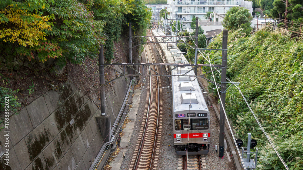 Fototapeta premium 切通しを抜ける電車