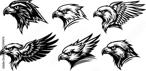Collection of Eagle Head Vector Illustrations.