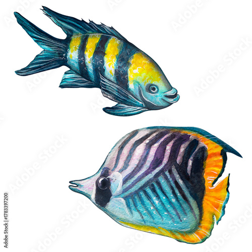 Multicolored wedge-striped butterflyfish and angelfish. Watercolor painting depicting fish on a white background.