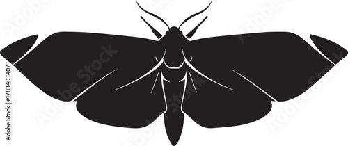 Silhouetted moth with detailed wings spread wide in dark silhouette