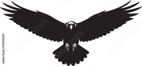 Silhouette of a majestic eagle in flight with wings spread wide showing powerful wingspan and detailed feathers