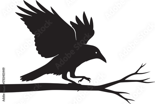 Silhouette of a raven landing on a bare tree branch against a clean backdrop