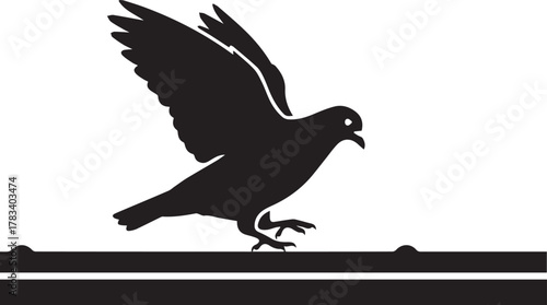 Silhouette of a black pigeon taking flight from a perch with wings spread wide