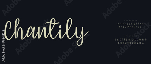 A graceful and romantic cursive font with gentle curves and soft contrast — perfect for wedding designs, love quotes, and elegant stationery.