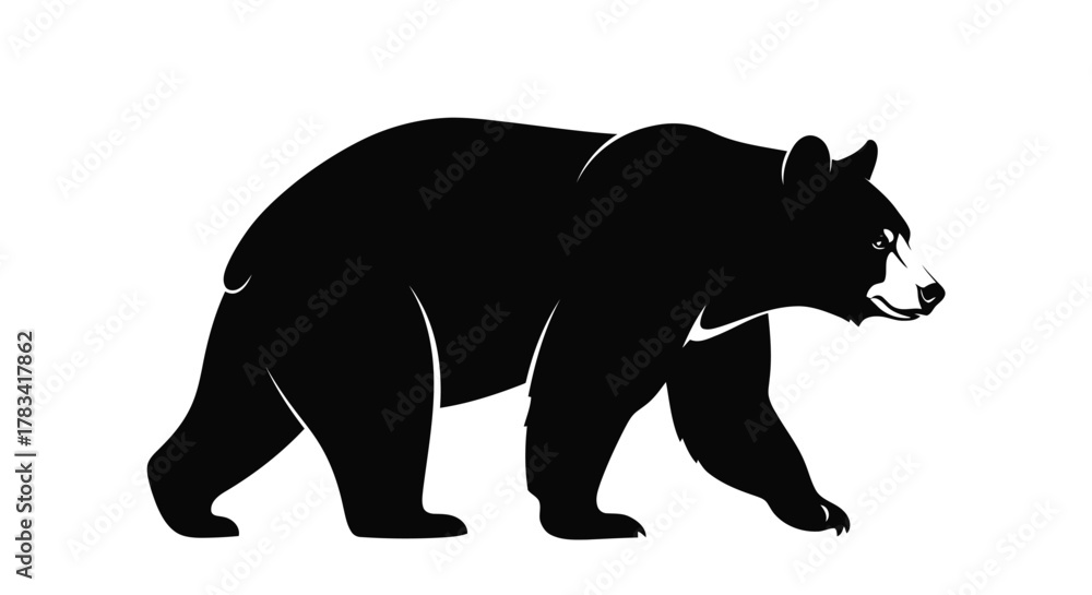 Fototapeta premium Vector illustration of black bear walking