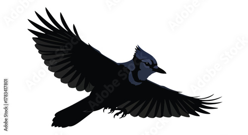 Vector illustration of blue jay in flight