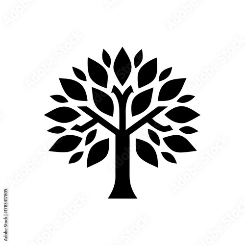 Illustration of a symmetrical tree with many leaves on transparent background