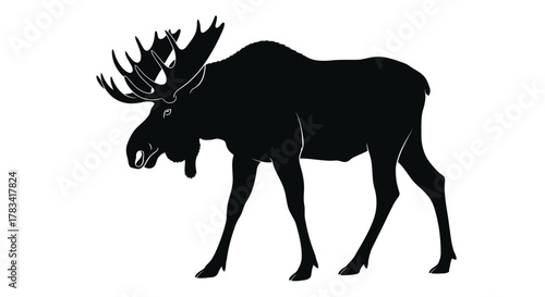 Vector illustration of black silhouette of a moose with large antlers