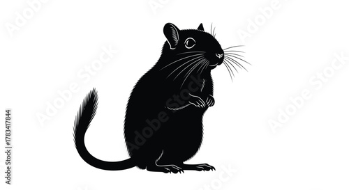 Vector illustration of black gerbil standing and looking to the side