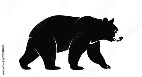 Vector illustration of black bear walking