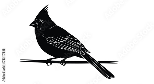 Vector illustration of silhouette of a cardinal perched on a wire