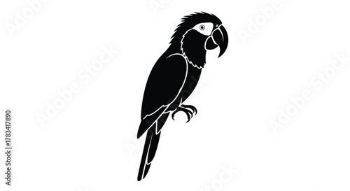 Vector illustration of black silhouette of a parrot