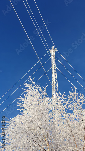 Wallpaper Mural Communication mast among birch branches on a winter day Torontodigital.ca