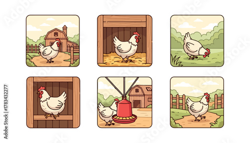 Cartoon chicken illustrations in various farm settings