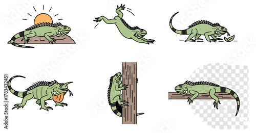 Cartoon iguana set various poses and actions
