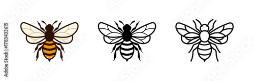 Bee icon isolated on white background.