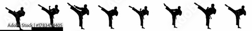 Multiple black silhouettes of a martial artist executing a high side kick, representing strength, discipline, and dynamic action.