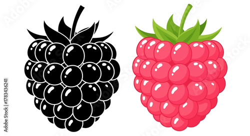 Detailed vector illustration set of a fresh, ripe raspberry in vibrant color and a contrasting black silhouette icon, perfect for healthy food designs.