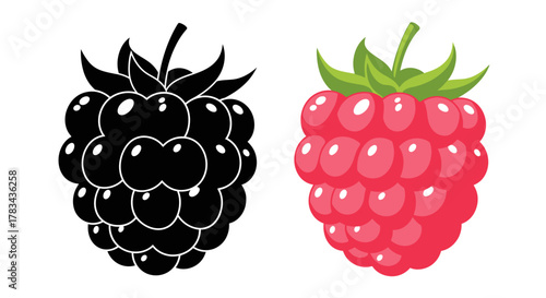 raspberry and blackberry