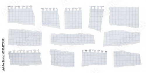 Torn graph grid paper scraps set. Ripped checkered notebook pieces, isolated texture collection 