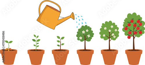 Growth stages of plant life cycle illustration, seed sprout seedling young plant blooming flower fruit tree, gardening watering can nurture agriculture education concept vector
