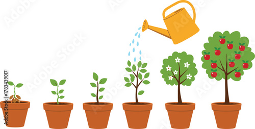 Plant growth stages illustration, seedling sprout, small plant leaves, young tree watering, mature tree flowers, apple tree harvest, educational biology concept, environmental science learning