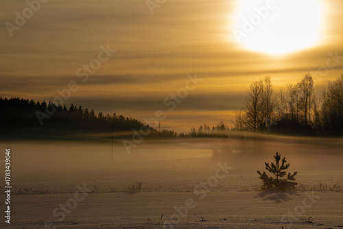 sunrise over the field