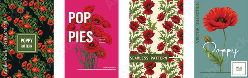 Poppy Vector Collection, Seamless Patterns, Hand-Drawn Floral Graphics, and Botanical Illustrations Set