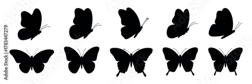 Flying Butterflies Silhouette. Various Flying Insect Silhouettes for Design and Art