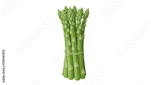 A bunch of green asparagus stalks tied together with a green string