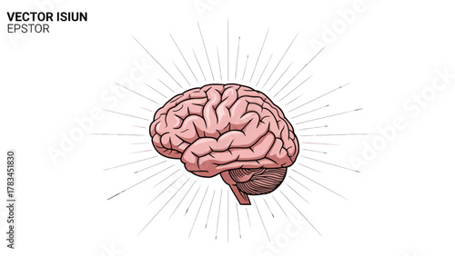 A pink cartoon brain with radiating lines on a white background
